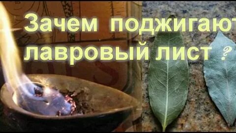 Зачем поджигают лавровый лист