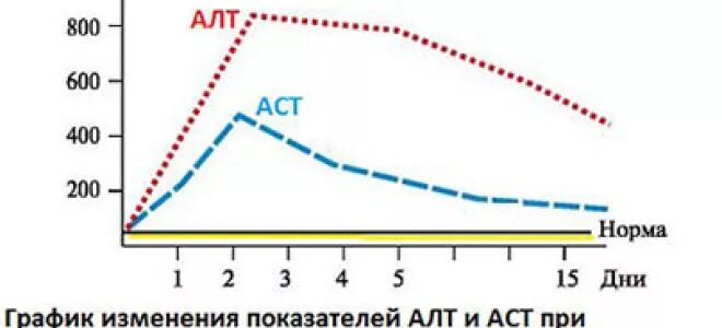 Алт аст что это такое простым. Показатели алат и асат при вирусных гепатитах. аст при гепатите показатели. показатели алт при гепатите. норма алат, асат при гепатите.