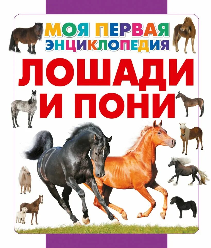 Купить книгу лошади. Большая энциклопедия: лошади Спектор а.. Энциклопедия лошади Росмэн. Книги о лошадях для детей. Книга про лошадей энциклопедия.