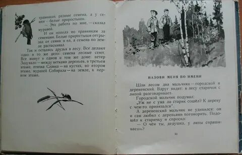 В глубине нашего двора жила необыкновенная