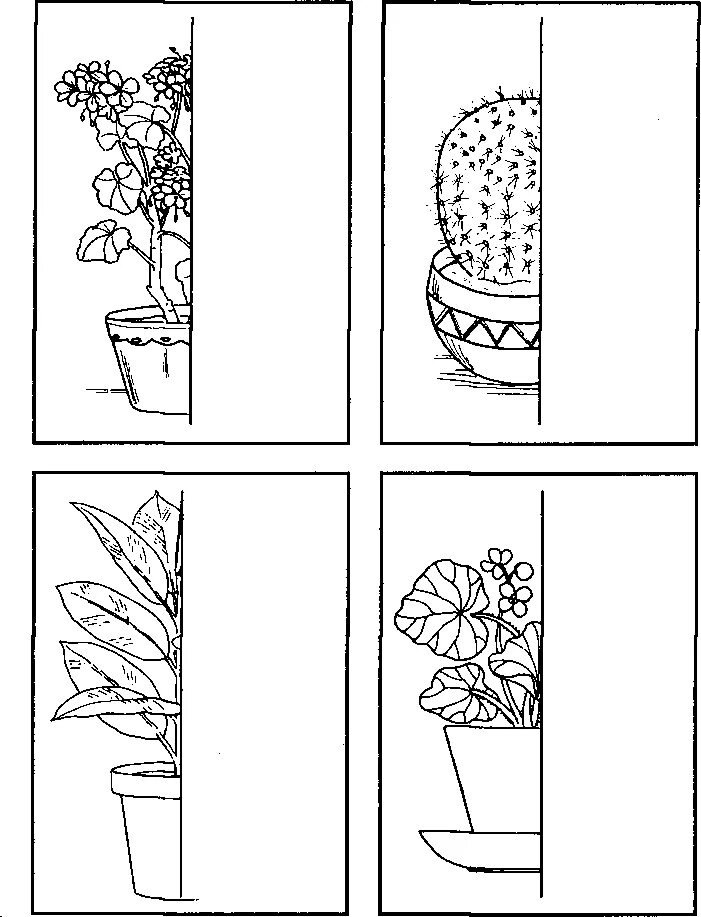 Комнатные цветы для дошкольников. Тема занятия комнатные растения. Задания по комнатным растениям для дошкольников. Комнатные растения. Уход заикомнатными растениями.
