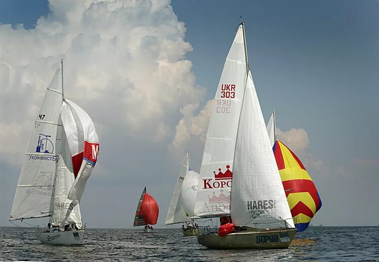 судья автоспорт. максим бондарь парусный спорт. большие гонки. большие гонки горки. маршал на гонках.