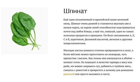 Шпинат полезные свойства и рецепты приготовления
