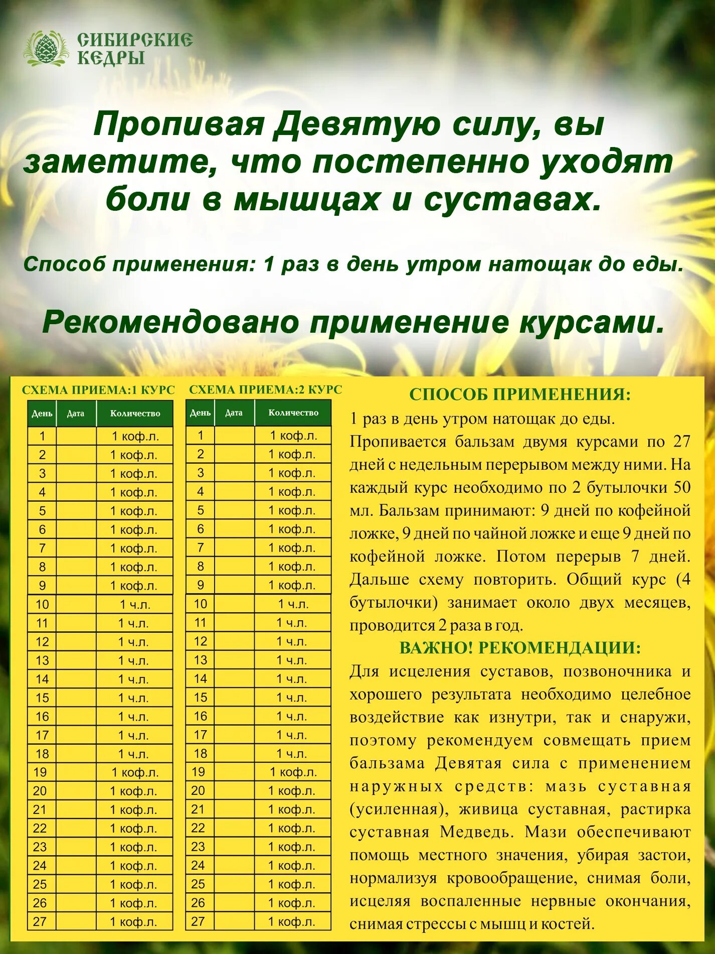 Мы забыли как вставить сюда текст.