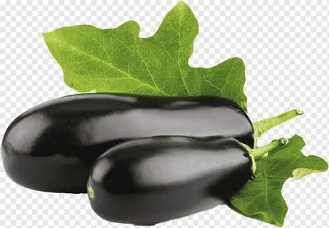 Экстракт баклажана
