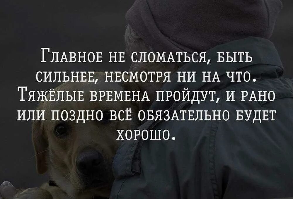 Как трудно быть сильной. Цитаты про поддержку. Афорищмыпро поддержку. Высказывания про поддержку. Поддержка цитаты высказывания.