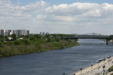 Крт тюмень