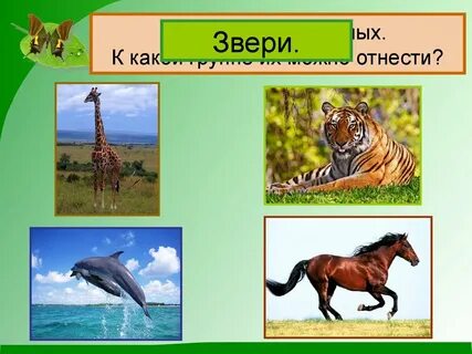 Какие животные обитают на земле 2 класс