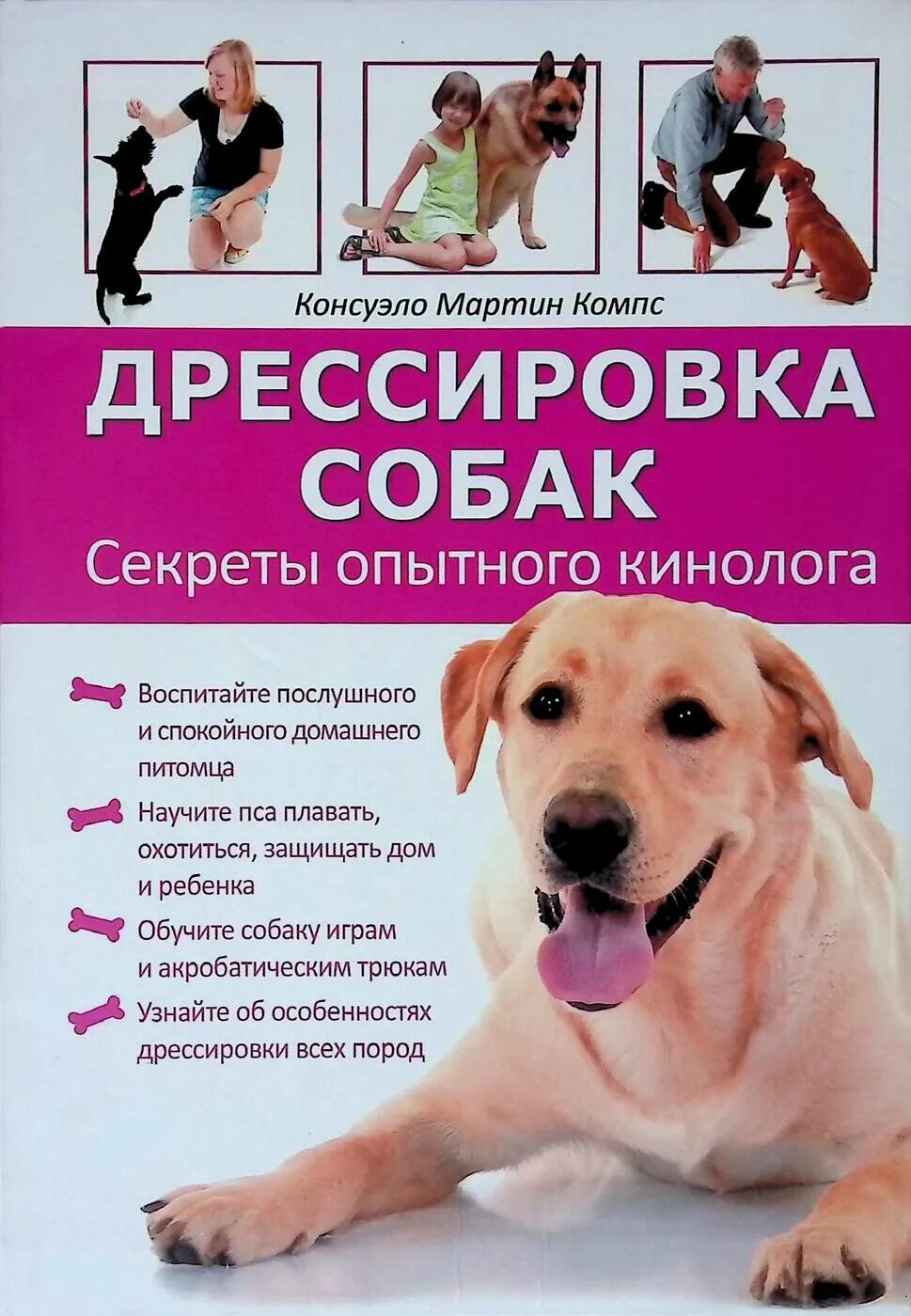 Собаки для начинающих собаководов в квартиру