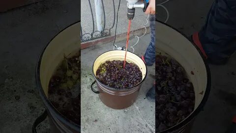 Давила винограда