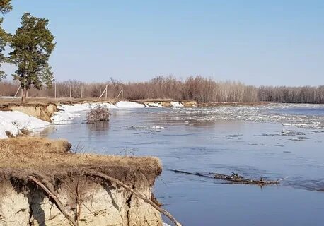 Уровень реки чумыш в заринске