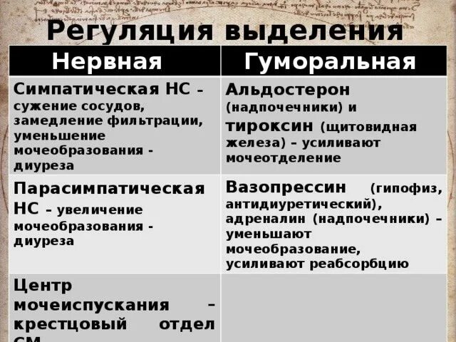 Как происходит регуляция работы почек гуморальным путем. Регуляция мочеобразовательной функции почек (нервная и гуморальная). Регуляция мочеобразования. Нервная и гуморальная регуляция мочеобразования. Гуморальная регуляция мочеобразования и мочевыделения.