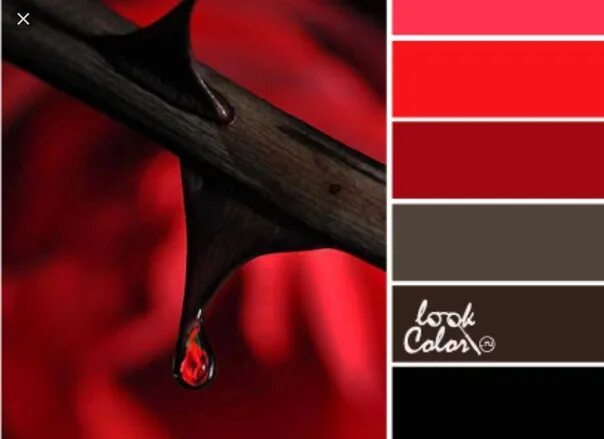 Pin on Color combinations