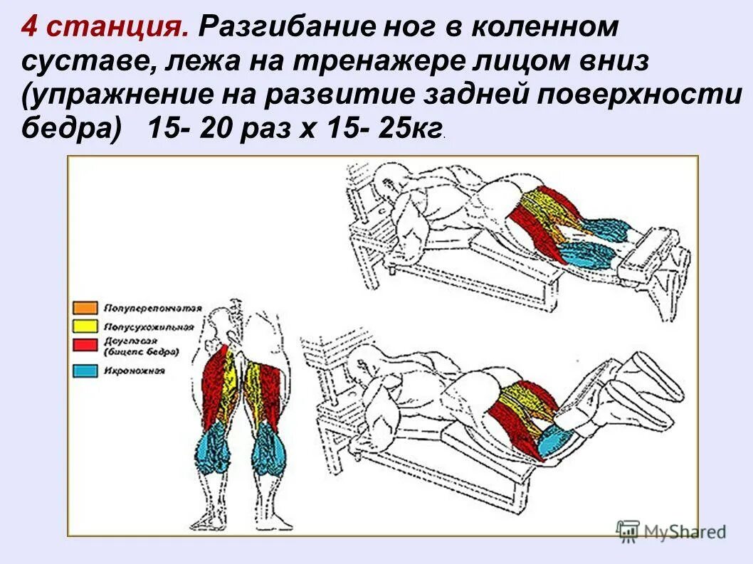 Силу человека можно определить как. Физическое качество сила. Силовые качества биомеханика. Большая физическая сила. Понятие о двигательных качествах человека.