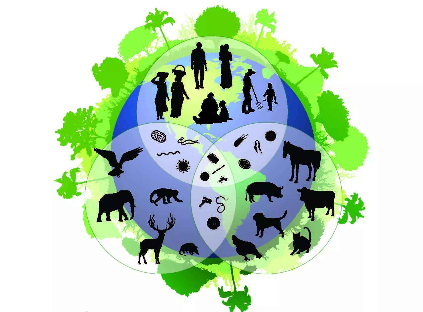 Биоразнообразие. Сохранение биоразнообразия. Экологическое биоразнообразие. Биоразнообразие это в экологии. Биоразнообразие в экосистеме