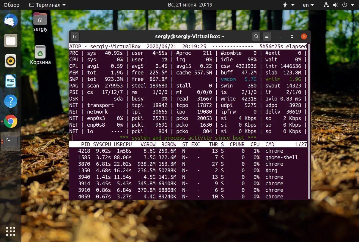 Linux в какой группе пользователь. Linux процесс запуска. таблица процессов linux. список запущенных процессов линукс.