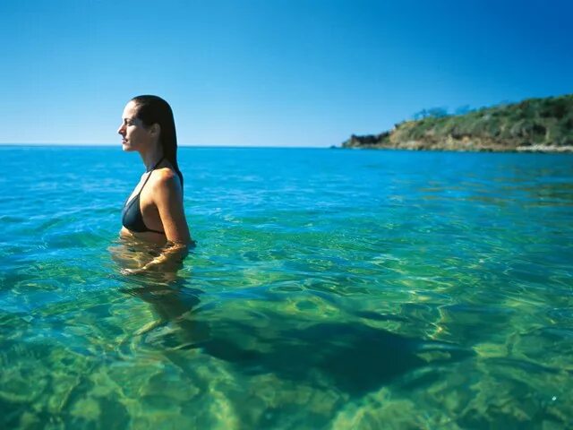 Купаться в прозрачной воде во сне. Купаться в океане. тихий океан купание. самое чистое море для купания. купаются в чистом океане.