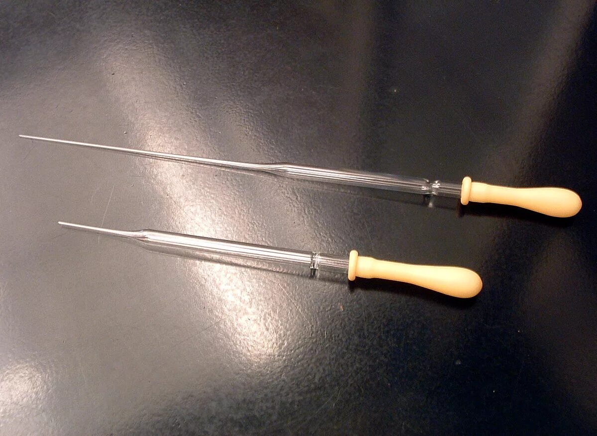 Что такое пипетка в биологии. Pastr pipetkasi. пастеровские пипетки стеклянные. пипетка пастера стеклянная. пипетка старинная.