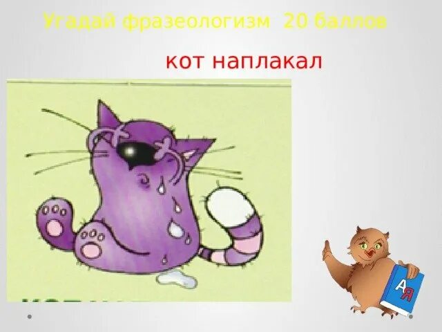 История фразеологизма кот наплакал. История фразеологизма кот наплакал
