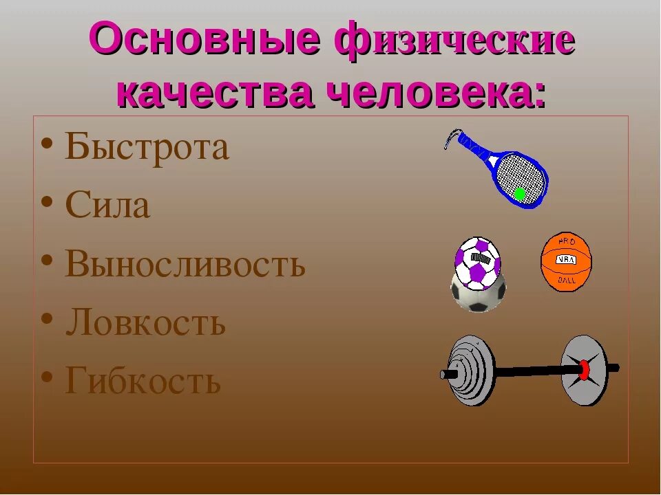 Физические качества сила быстрота выносливость. Сила ловкость выносливость гибкость. Сила, ловкость, гибкость и быстрота. Физические качества сила быстрота выносливость ловкость и гибкость.