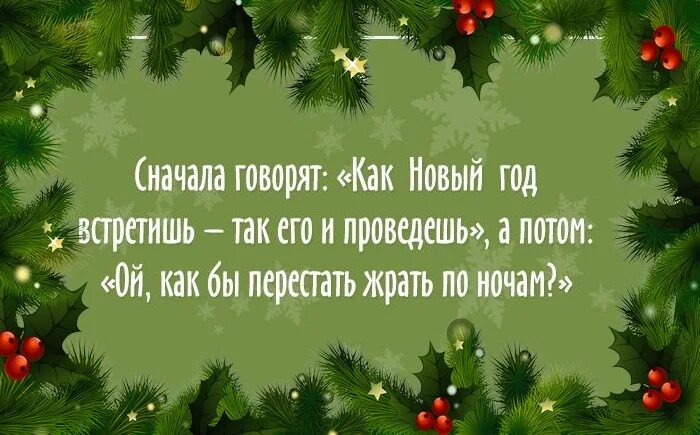 Новый год статусы. Цитаты про новый год. Новогодние цитаты. Новогодние афоризмы. Смешные цитаты пароновый год.