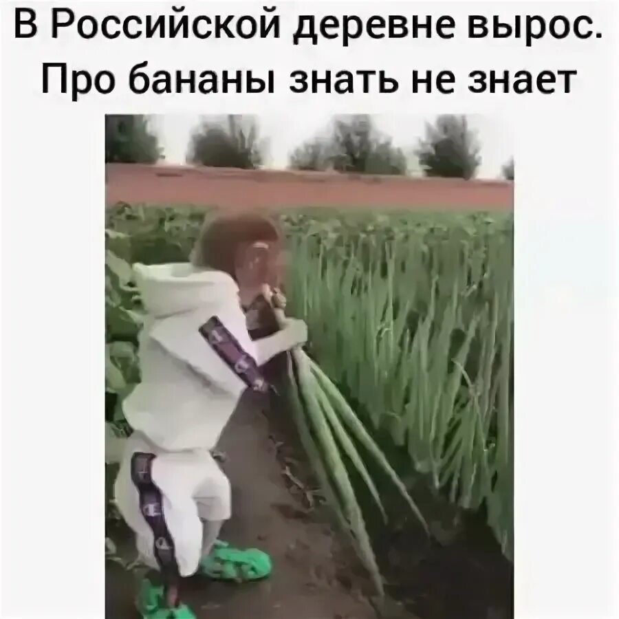 Я вырос в селе