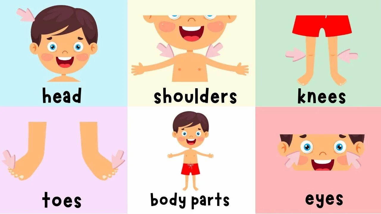 Bodyparts карточки для детей. Части тела на английском для детей. Части тела Flashcards. Head Shoulders Knees and Toes. Super simple songs head