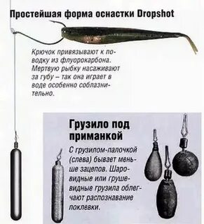 Ловля судака на дроп шот