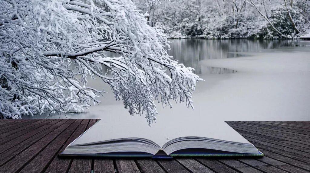 Книги зима. Зимнее окно. Зимнее утро с книгой. Книга на снегу. Зимнее чтение.