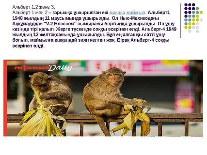 Интернетте мас әйелімен үштік