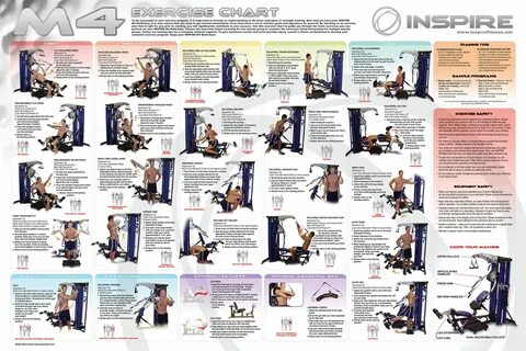Тренировочный pdf