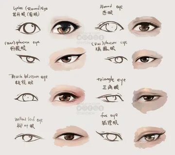 Eye shapes
