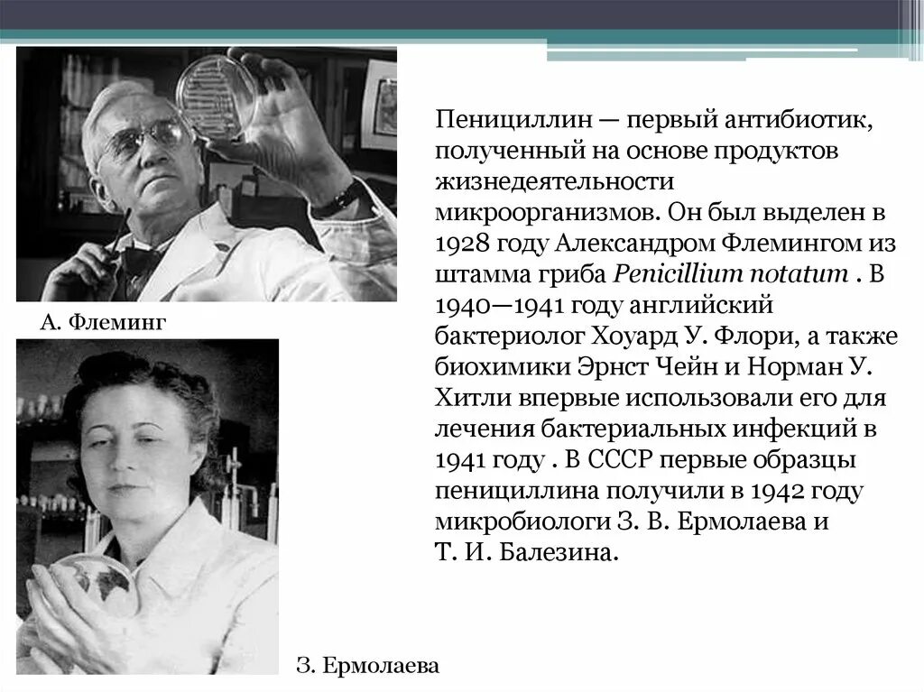 Важность пенициллина. Антибиотики пенициллин Флеминг. История открытия пенициллина кратко. Флеминг антибиотики кратко.