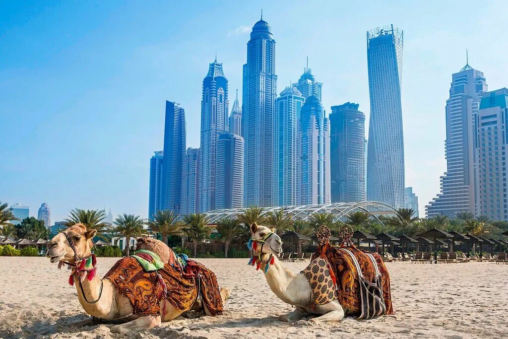 Туры в оаэ в апреле из москвы. Хабтур дубай. habtoor grand дубай. хабтур дубай марина. оаэ habtoor grand resort autograph collection 5*.