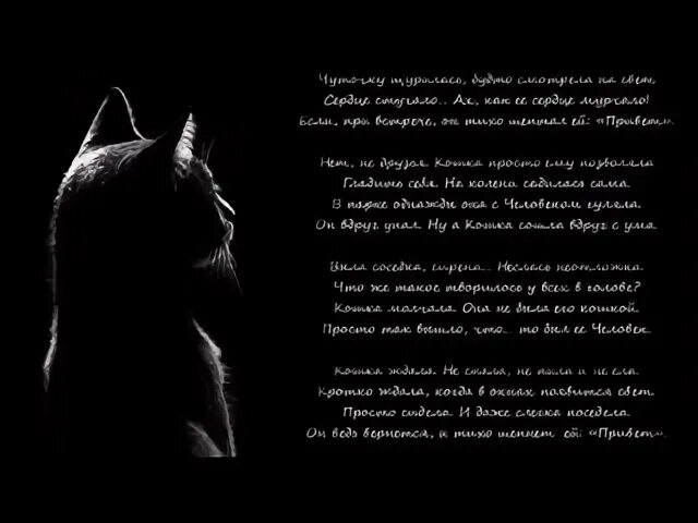 Стихи о котах. Одинокий мужчина и его одинокая кошка. Красивое стихотворение про кошку. Стих о любимой кошке. Стих про кошку.