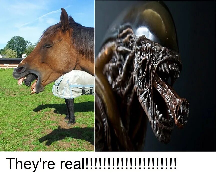 They re not really