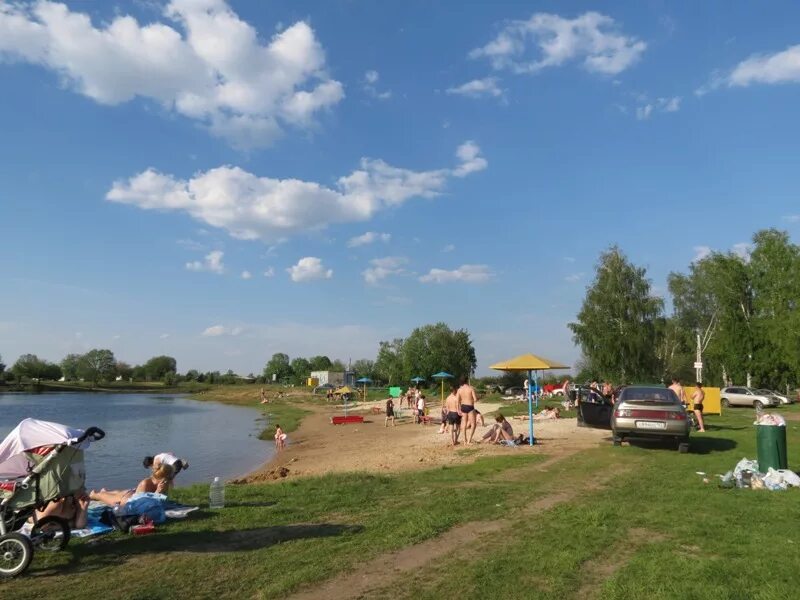 Оз Лунское Нижний Новгород. Лунское озеро Нижний Новгород Сормовский. Озеро Лунское в Нижегородской области. Озеро Пестичное Нижний Новгород. Озеро нижнее отзывы