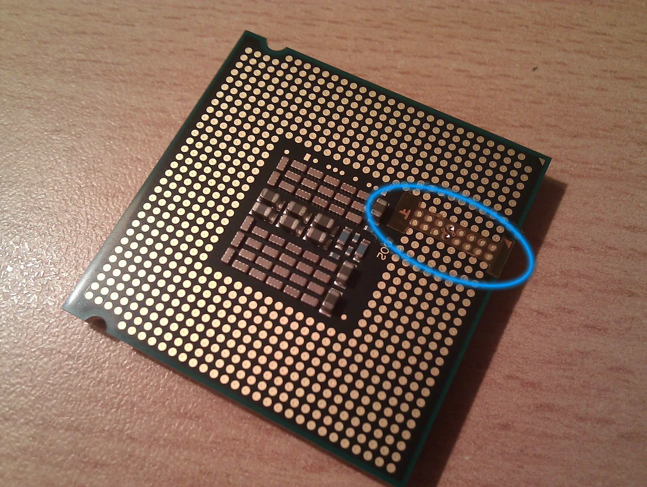 Зион процессор. LGA 771. LGA 775 Xeon Pin. Socket 771 LGA. LGA 775 Socket.