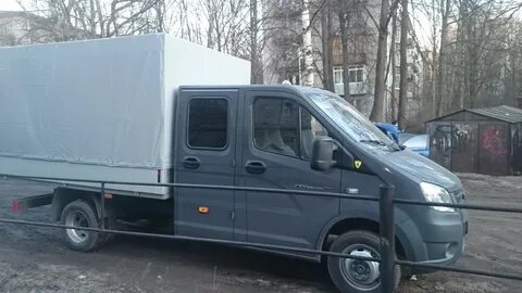 Газель металлическая