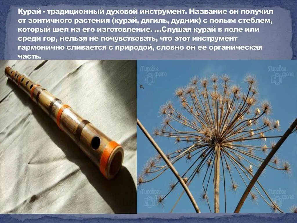 Фото - Официальный сайт ФК "Зенит"