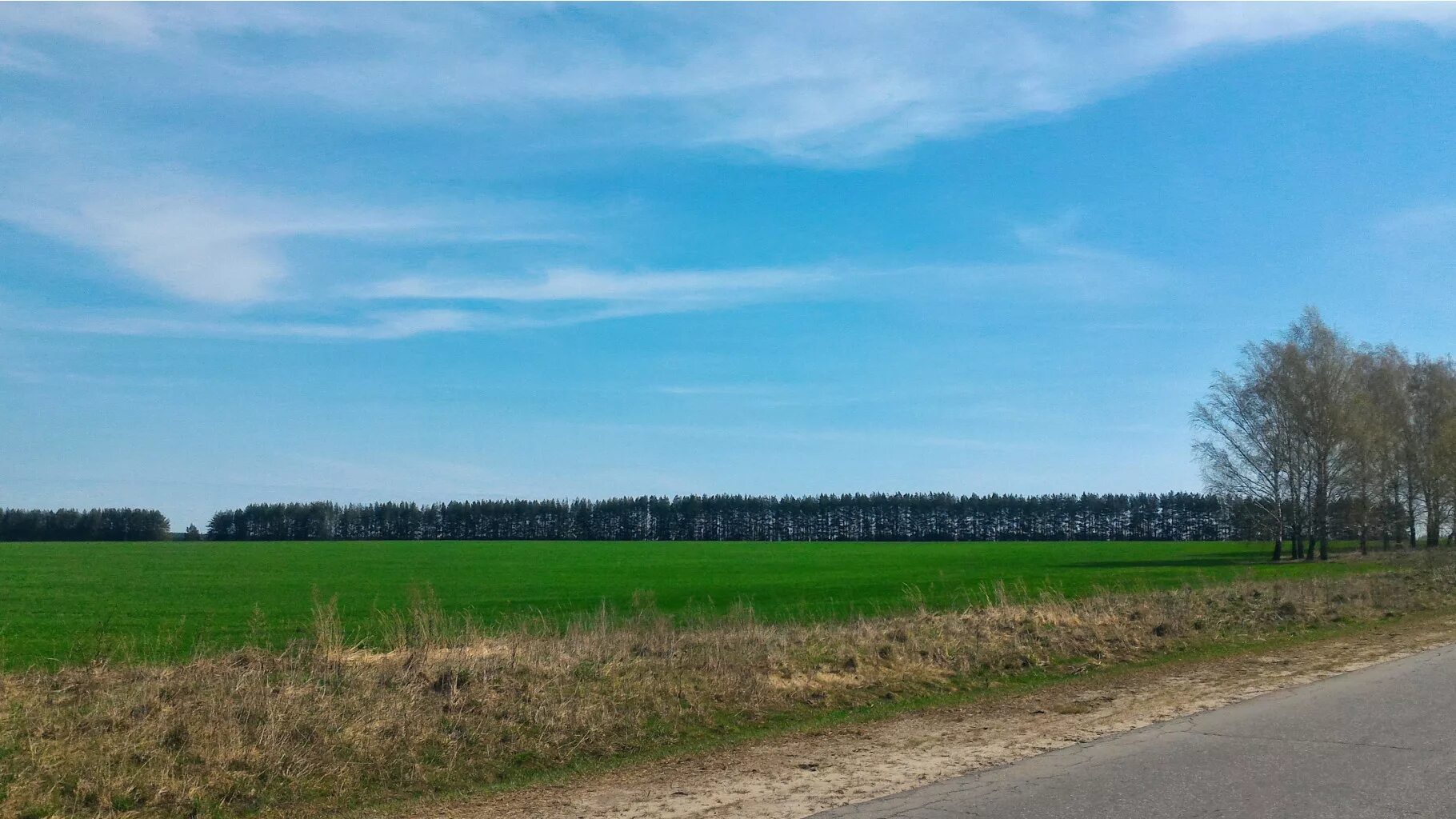 Борисово поле нижегородская область. Погода борисово поле. Погода борисово поле. Борисово-судское бабаевского. Погода борисово поле.