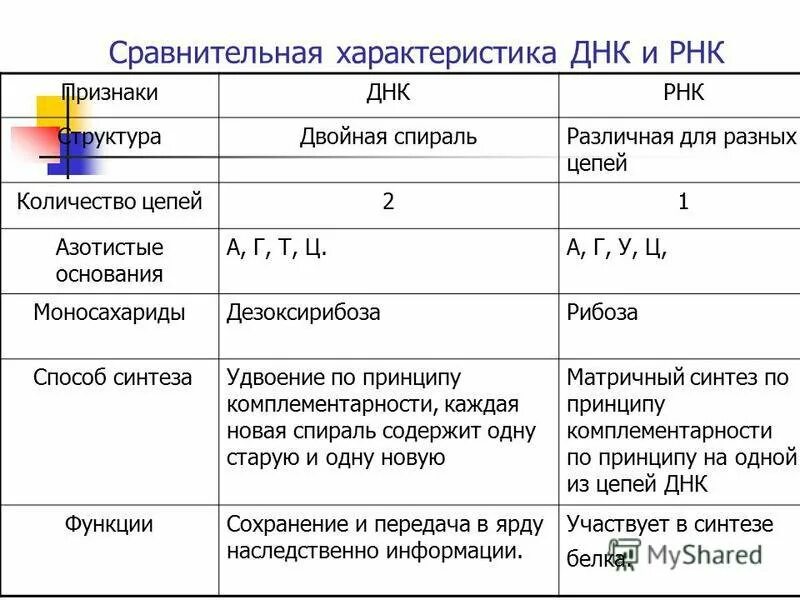 Состав и строение рнк таблица. Состав и строение рнк таблица