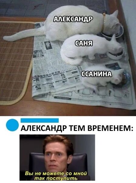 Санёк с днём рождения. Песня саня саня сашок. Трек саня а. Мафик сашок. Бородач охранник мемымы.