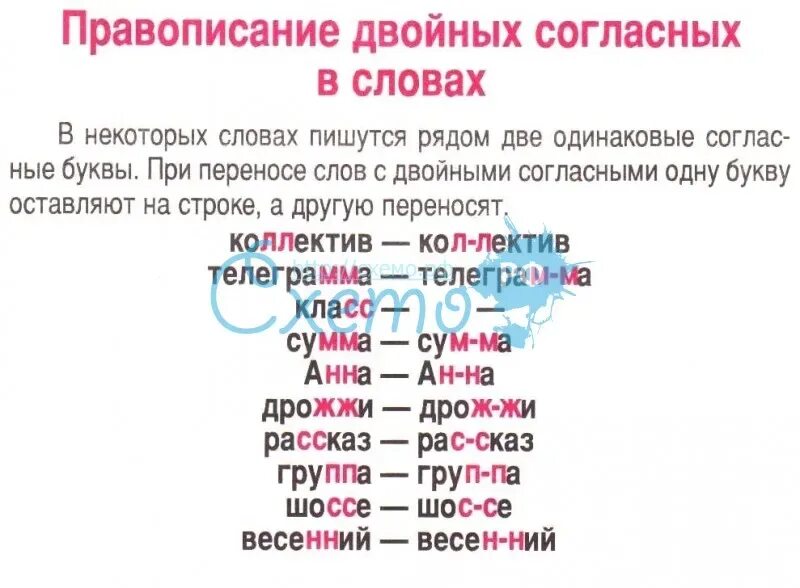 Примеры слов с двумя согласными. Правописание слов с удвоенными согласными. Слова с удвоенными согласными. Правописание двойных согласных в словах. Имена с двойной согласной.