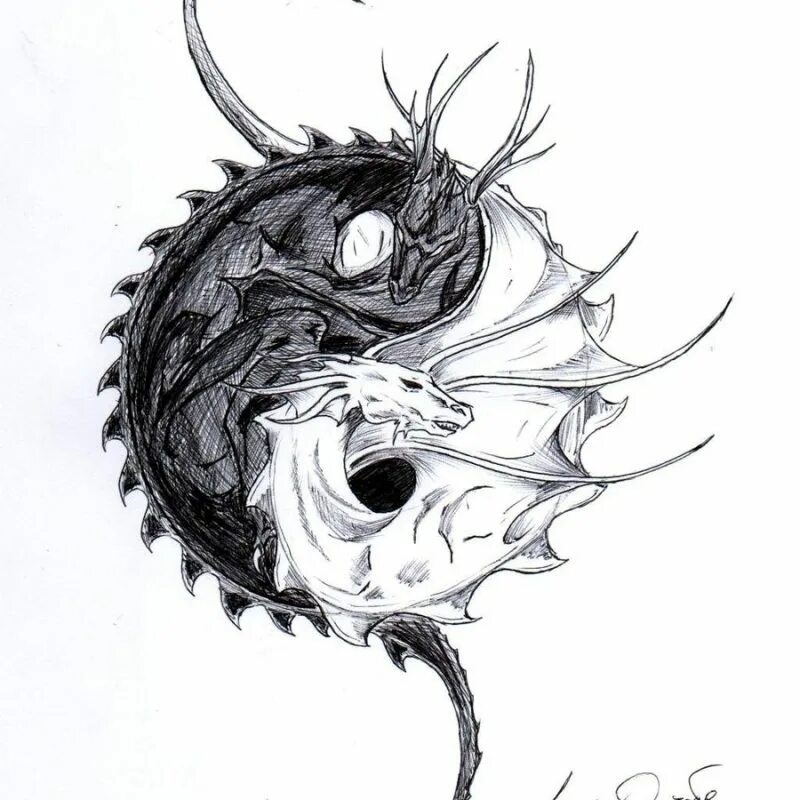 Тату инь янь с драконом. Тату инь янь с драконом. Инь ян китайский дракон. Дракон вокруг инь и янь. Тату гриши измайлова эскиз.