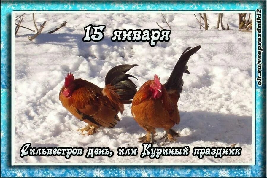 День 3 куриный. 15 Января куриный праздник. 15 Января день. 15 Января приметы. 15 Февраля день приметы.