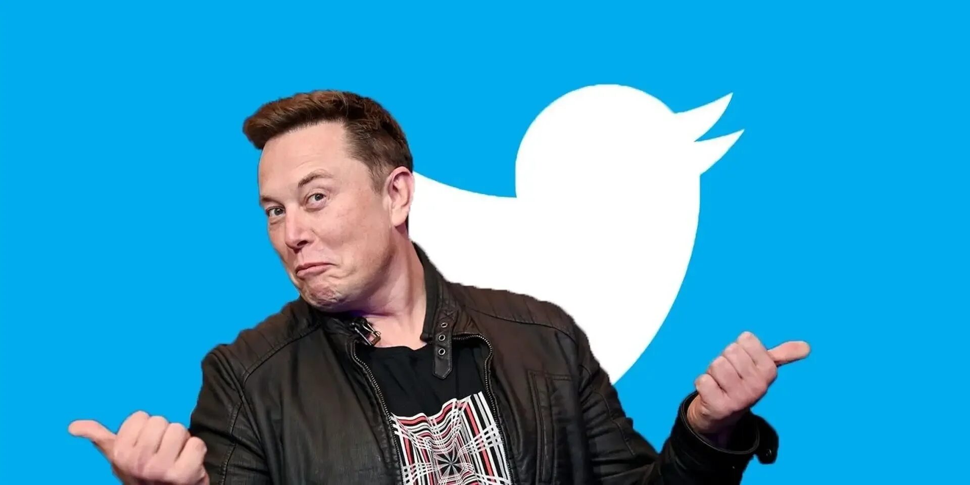 Илон Маск. Илон Маск Твиттер. Elon Musk Твиттер. Илон Маск 2022.