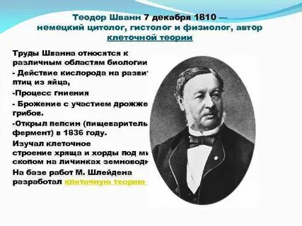 Немецкий ученый сформулировавший