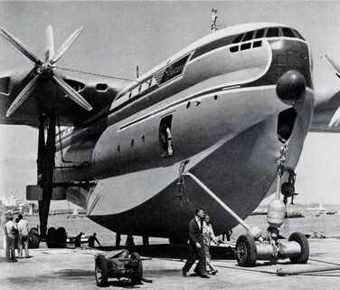 Roe 174