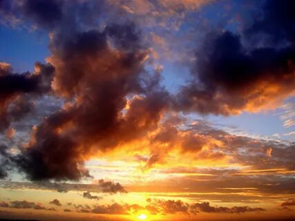 Ciel